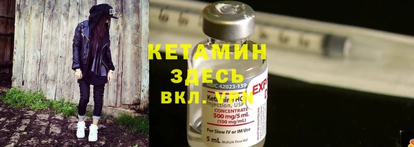 прущие грибы Сосновоборск