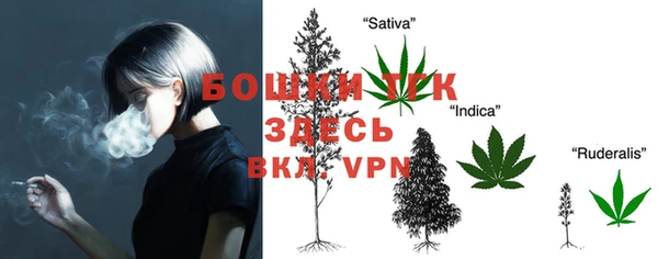 твердый Сосновый Бор