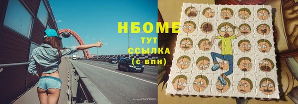 прущие грибы Лабытнанги